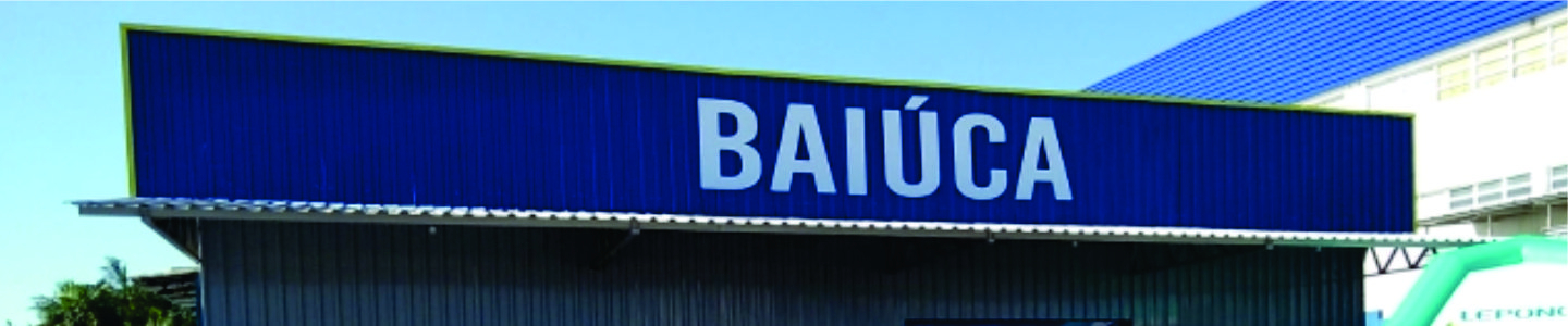 Baiúca Parafusos e Ferragens