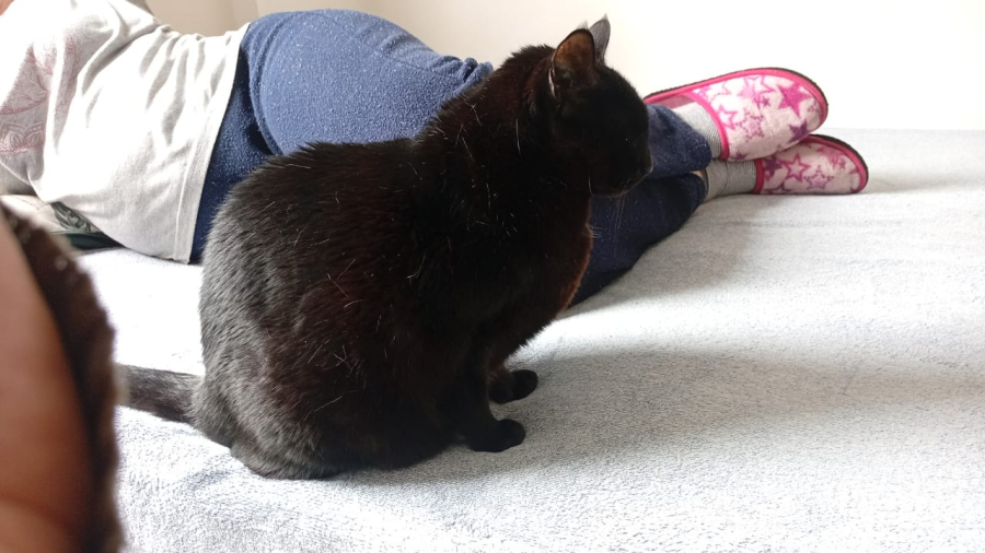 Tião fica no quarto